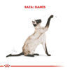 Imagen de ALIMENTO BALANCEADO GATOS SIAMESE  x 7,5 KG