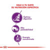 Imagen de ALIMENTO BALANCEADO GATOS SENSIBLE 33 x 7,5 KG