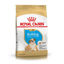 Imagen de ALIMENTO BALANCEADO PERRO BULL DOG INGLES PUPPY X 3 KG