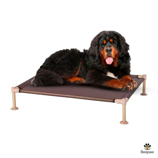 Imagen de ACCESORIOS PARA MASCOTAS - CAMPP122X82X21CM CAMA EN ALTURA MALLADA PARA PERROS 122*81*21CM