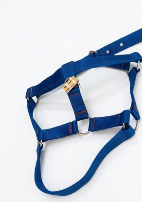 Imagen de ACCESORIOS PARA MASCOTAS PECHERA POLIPROP REFORZADA EXTRA GRANDE